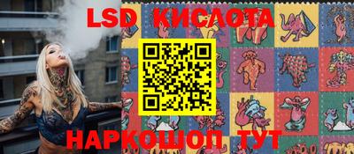 spice Новодвинск