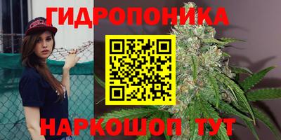 эйфоретик Новокубанск