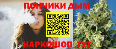 spice Новодвинск